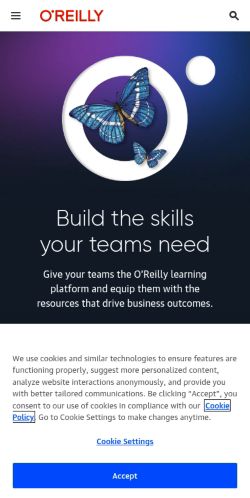 Screenshot of the audited page (Mobile 375×812)