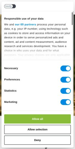 Screenshot of the audited page (Mobile 375×812)