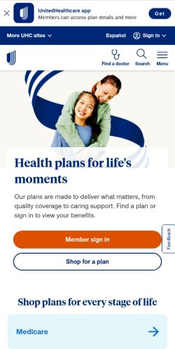 Screenshot of the audited page (Mobile 375×812)