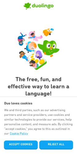 Screenshot of the audited page (Mobile 375×812)