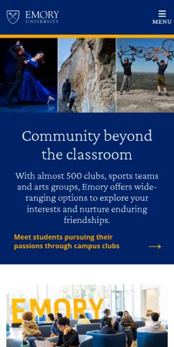 Screenshot of the audited page (Mobile 375×812)