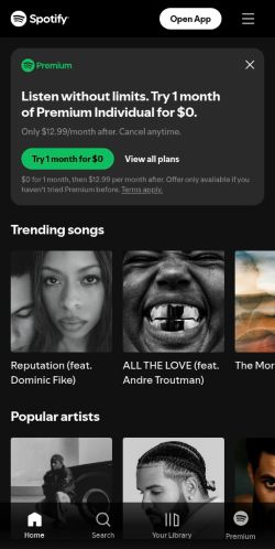 Screenshot of the audited page (Mobile 375×812)