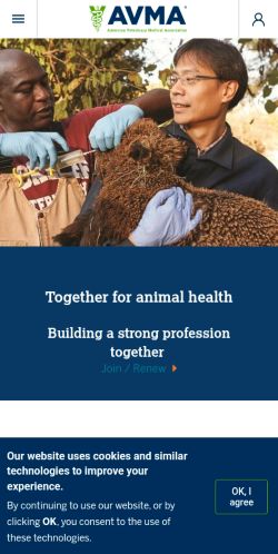 Screenshot of the audited page (Mobile 375×812)