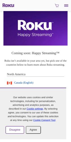 Screenshot of the audited page (Mobile 375×812)