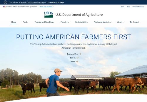 Screenshot of the audited page (Desktop 1440×900)