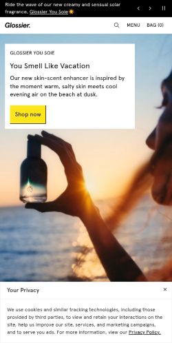 Screenshot of the audited page (Mobile 375×812)