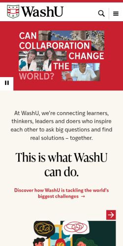 Screenshot of the audited page (Mobile 375×812)