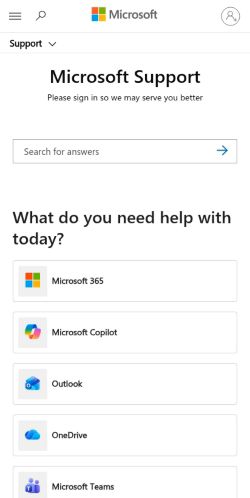 Screenshot of the audited page (Mobile 375×812)