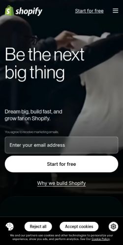Screenshot of the audited page (Mobile 375×812)