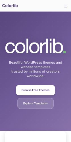 Screenshot of the audited page (Mobile 375×812)