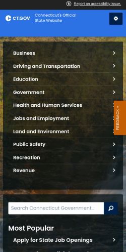 Screenshot of the audited page (Mobile 375×812)