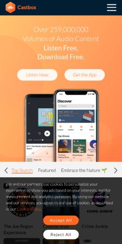 Screenshot of the audited page (Mobile 375×812)