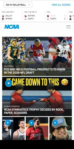 Screenshot of the audited page (Mobile 375×812)