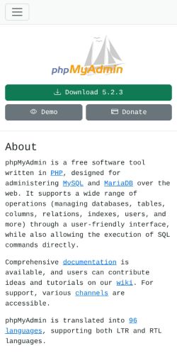 Screenshot of the audited page (Mobile 375×812)