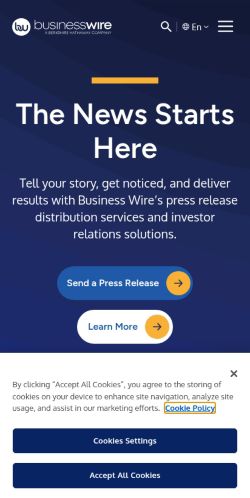 Screenshot of the audited page (Mobile 375×812)