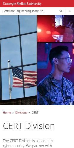 Screenshot of the audited page (Mobile 375×812)