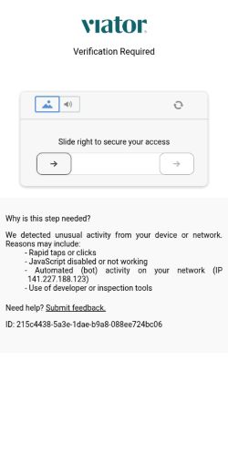 Screenshot of the audited page (Mobile 375×812)