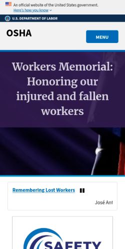 Screenshot of the audited page (Mobile 375×812)