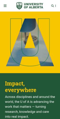 Screenshot of the audited page (Mobile 375×812)