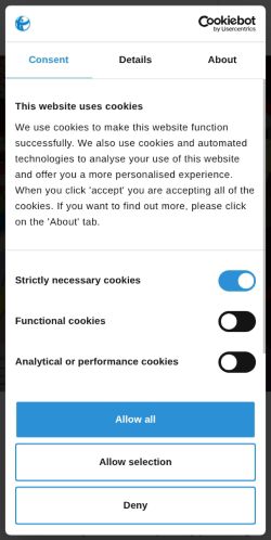 Screenshot of the audited page (Mobile 375×812)