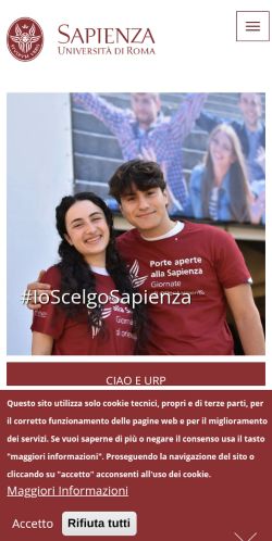 Screenshot of the audited page (Mobile 375×812)