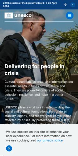 Screenshot of the audited page (Mobile 375×812)