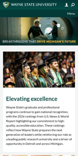 Screenshot of the audited page (Mobile 375×812)