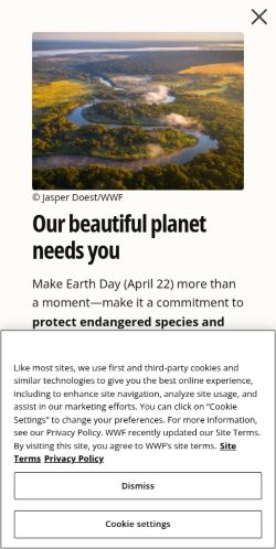 Screenshot of the audited page (Mobile 375×812)