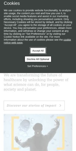 Screenshot of the audited page (Mobile 375×812)