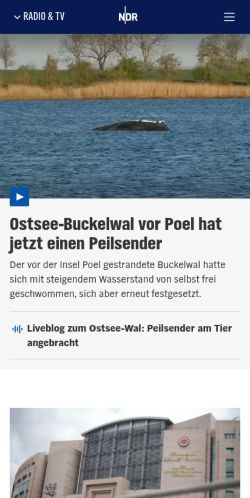 Screenshot of the audited page (Mobile 375×812)