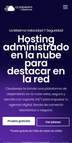 Screenshot of the audited page (Mobile 375×812)