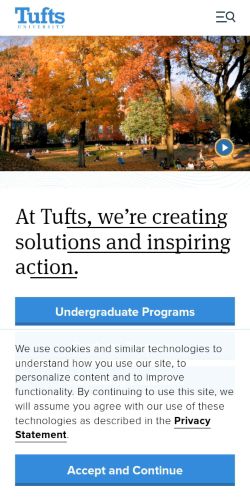 Screenshot of the audited page (Mobile 375×812)