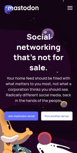 Screenshot of the audited page (Mobile 375×812)