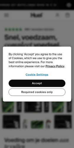 Screenshot of the audited page (Mobile 375×812)