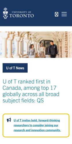 Screenshot of the audited page (Mobile 375×812)