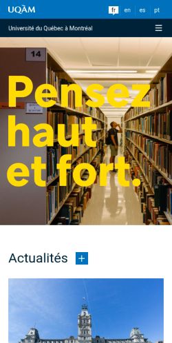 Screenshot of the audited page (Mobile 375×812)