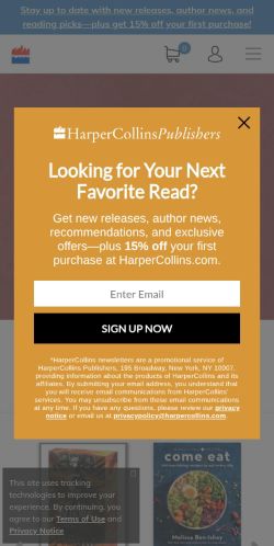 Screenshot of the audited page (Mobile 375×812)