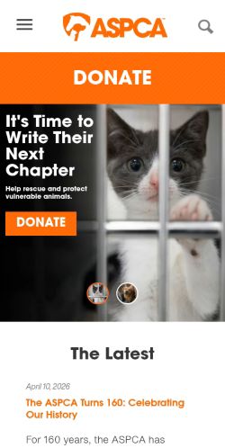 Screenshot of the audited page (Mobile 375×812)