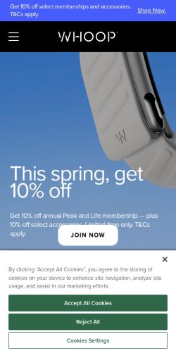 Screenshot of the audited page (Mobile 375×812)