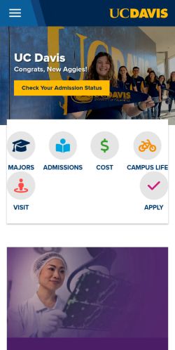 Screenshot of the audited page (Mobile 375×812)
