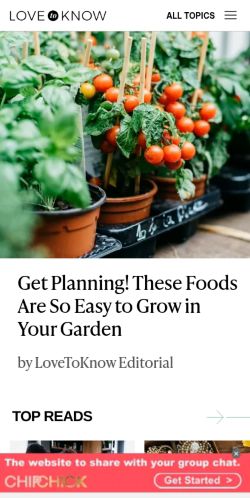 Screenshot of the audited page (Mobile 375×812)