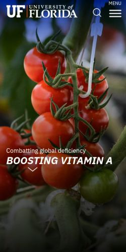 Screenshot of the audited page (Mobile 375×812)