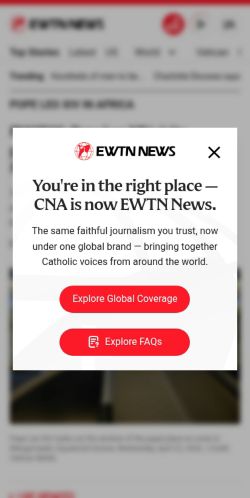 Screenshot of the audited page (Mobile 375×812)