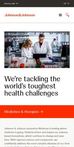 Screenshot of the audited page (Mobile 375×812)