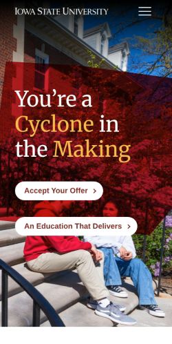 Screenshot of the audited page (Mobile 375×812)