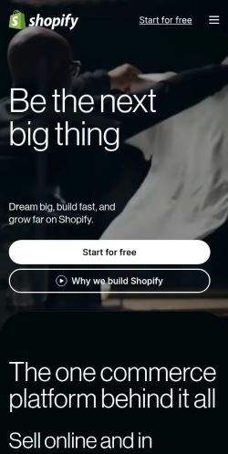 Screenshot of the audited page (Mobile 375×812)
