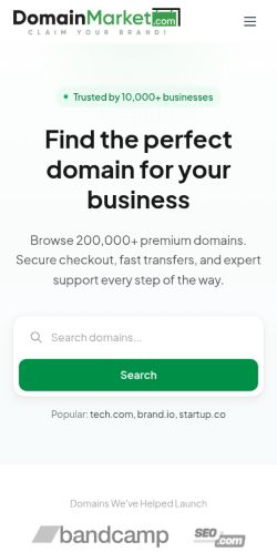 Screenshot of the audited page (Mobile 375×812)