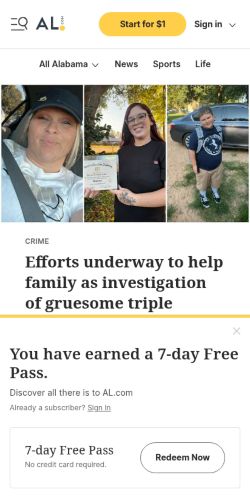 Screenshot of the audited page (Mobile 375×812)