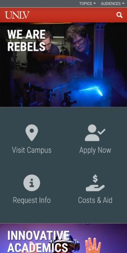 Screenshot of the audited page (Mobile 375×812)