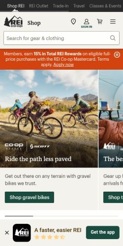 Screenshot of the audited page (Mobile 375×812)